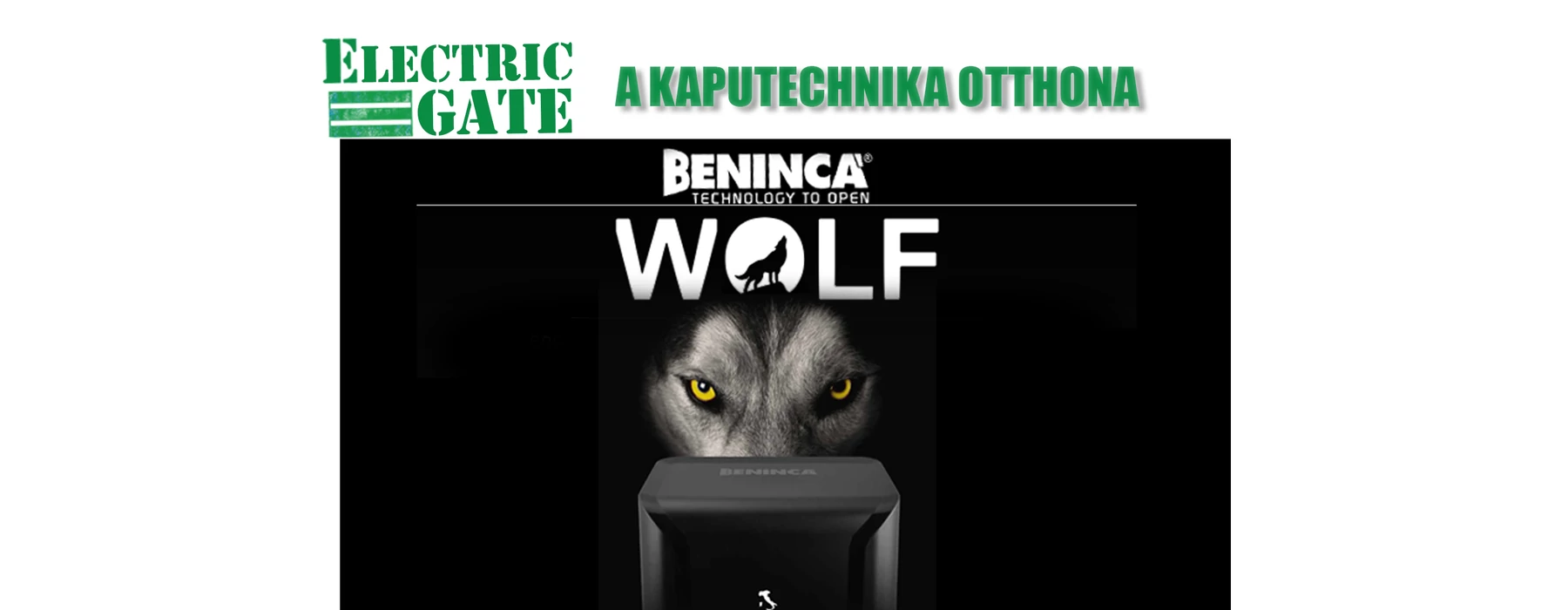 Új motorcsalád a Benincánál